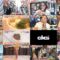 250108 Hirunandesu! – ex-Nogizaka46 Akimoto Manatsu – HD.mp4