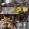 250116 Watashi no Machi no Chiba-kun wa. 02 – ex-Nogizaka46 Higuchi Hina – HD.mp4