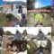 250119 Otona no Bike Jikan MOTORISE – ex-AKB48 Hirajima Natsumi – HD.mp4