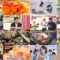 250126 Sakagami & Sashihara no Tsuburenai Mise – ex-HKT48 Sashihara Rino & Equal LOVE Otani Emiri – HD.mp4