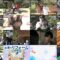 250128 Ogiyahagi no Hapikyan – ex-AKB48 Kashiwagi Yuki – HD.mp4