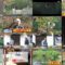 250202 Potsun to Ikkenya – ex-HKT48 Murashige Anna – HD.mp4