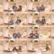 250203 NATSLIVE – Houkago BokuAo Kitchen 14 – Landscape – Boku ga Mitakatta Aozora – FHD.mp4
