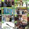 250207 DayDay. – ex-NMB48 Shibuya Nagisa – HD.mp4