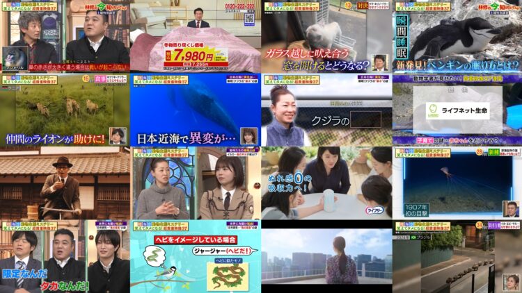 250208 Hayashi Osamu no Ima Shiritai Desho! – Hinatazaka46 Matsuda Konoka – HD.mp4