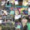 250213 Baribara – ex-SKE48 Matsui Rena – HD.mp4