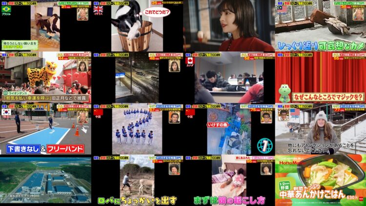 250213 Tanoshiku Manabu! Sekai Douga News – Nogizaka46 Umezawa Minami – HD.mp4