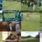250214 Mayumi & Katsunari no Expert GOLF 540 – ex-SKE48 Yamauchi Suzuran – HD.mp4