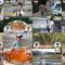 250214 Ritou de Hakken! Last Family – ex-Keyakizaka46 Nagahama Neru – HD.mp4
