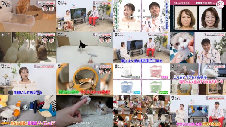 250222 Nekonism – ex-AKB48 Takahashi Minami – HD.mp4
