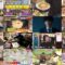 250223 Sakagami & Sashihara no Tsuburenai Mise – ex-HKT48 Sashihara Rino & ex-Nogizaka46 Matsumura Sayuri – HD.mp4