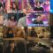 250225 Ueda to Onna DEEP – ex-Hinatazaka46 Saito Kyoko & ex-Nogizaka46 Hori Miona – HD.mp4