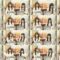 250226 Nekojita SHOWROOM – Nogizaka46 – FHD.mp4