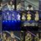 250222 HKT48 Theater Performance 1700 – FHD.mp4