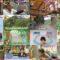 250306 Naze Soko – ex-Nogizaka46 Akimoto Manatsu – HD.mp4