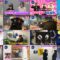 250307 Yonayona Purojekuto 34 – Equal LOVE Noguchi Iori – HD.mp4