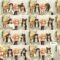 250312 Nekojita SHOWROOM – Nogizaka46 – FHD.mp4