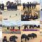 250313 AKB48 Nemousu TV Season 43 ep08.mp4