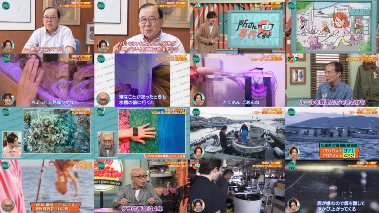 250315 Tokoro-san! Jiken Desu yo – ex-Nogizaka46 Matsumura Sayuri – HD.mp4