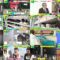 250317 DayDay. – ex-Nogizaka46 Akimoto Manatsu – HD.mp4