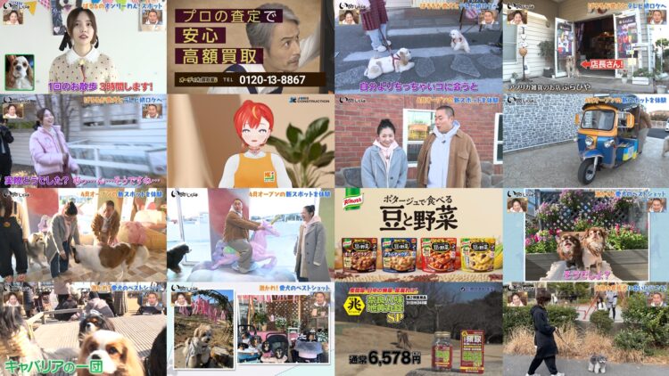 250318 Inu Jikan – ex-AKB48 Shimazaki Haruka – HD.mp4