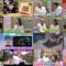 250324 Kyoccorohee – ex-Hinatazaka46 Saito Kyoko – HD.mp4