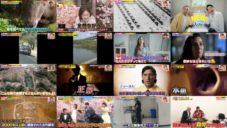 250331 Sekai Marumie! – ex-NMB48 Shibuya Nagisa – HD.mp4