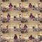 250225 NATSLIVE – Sutaminaen Yuki-chan 08 – SKE48 Arai Yuki – FHD.mp4