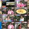 250515 Sakura Meets 102 – Sakurazaka46 Takemoto Yui, Inoue Rina, Masumoto Kira, Onuma Akiho, Mukai Itoha – HD.mp4