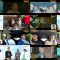 250524 Eiga [Chichi Boku] Kiseki no Jitsuwa – ex-Nogizaka46 Saito Asuka – HD.mp4