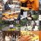 250606 Shin YNN NMB48 CHANNEL – GSGK23 Genchi Shuugou Genchi Kaisan 1 – FHD.mp4