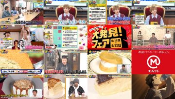 250611 Hamachanga! – ex-AKB48 Takahashi Minami – HD.mp4