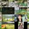 250613 Boku ga Mitakatta Aozora Youtube Channel – Boku ga Mitakatta Aozora – FHD.mp4