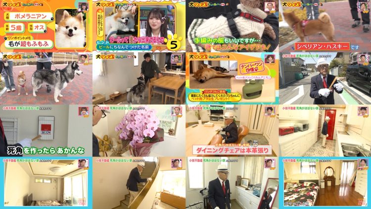 250614 Doyou wa Dameyo! – NMB48 Abe Wakana, Sakata Misaki – FHD.mp4
