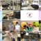 250614 Inu Jikan – ex-AKB48 Shimazaki Haruka – HD.mp4