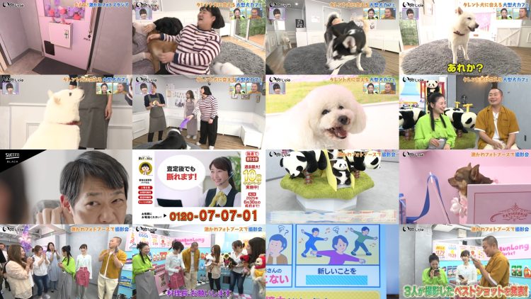 250621 Inu Jikan – ex-AKB48 Shimazaki Haruka – HD.mp4