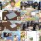 250627 Ijime wo Knock Out – ex-AKB48 Takahashi Minami – HD.mp4