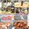 250628 Inu Jikan – ex-AKB48 Shimazaki Haruka – HD.mp4