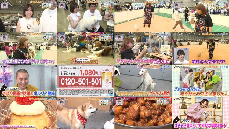 250628 Inu Jikan – ex-AKB48 Shimazaki Haruka – HD.mp4