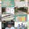 250703 Chiba Asa Live Morning Compass 0645 – ex-AKB48 Yoshikawa Nanase – HD.mp4