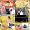 250704 Osaka Honwaka TV – ex-NMB48 Shibuya Nagisa – FHD.mp4