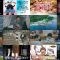 250706 [Ashita wa Motto, Li Ni Naru] Special Preview ! – ex-Nogizaka46 Ikuta Erika – HD.mp4