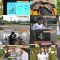 250712 Chiki Hatsu! Do Rookaru NEWS – ex-Nogizaka46 Saito Asuka – HD.mp4