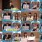 250715 Boku ga Mitakatta Aozora Youtube Channel – Boku ga Mitakatta Aozora – FHD.mp4