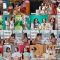 250723 AKB no Moto Wo Dasu Channel – AKB48 – FHD.mp4