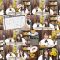 250723 Nekojita SHOWROOM – Nogizaka46 – FHD.mp4