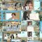 250728 Hinatazaka de Aimashou 5th Generation Seichou Variety 2 – Hinatazaka46 – FHD.mp4