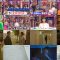 250729 Ueda to Onna DEEP – ex-Nogizaka46 Hori Miona – HD.mp4