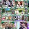250803 Hinatazaka de Aimashou – FHD.mp4