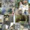 250806 THE BACKYARD – ex-Nogizaka46 Matsumura Sayuri – HD.mp4